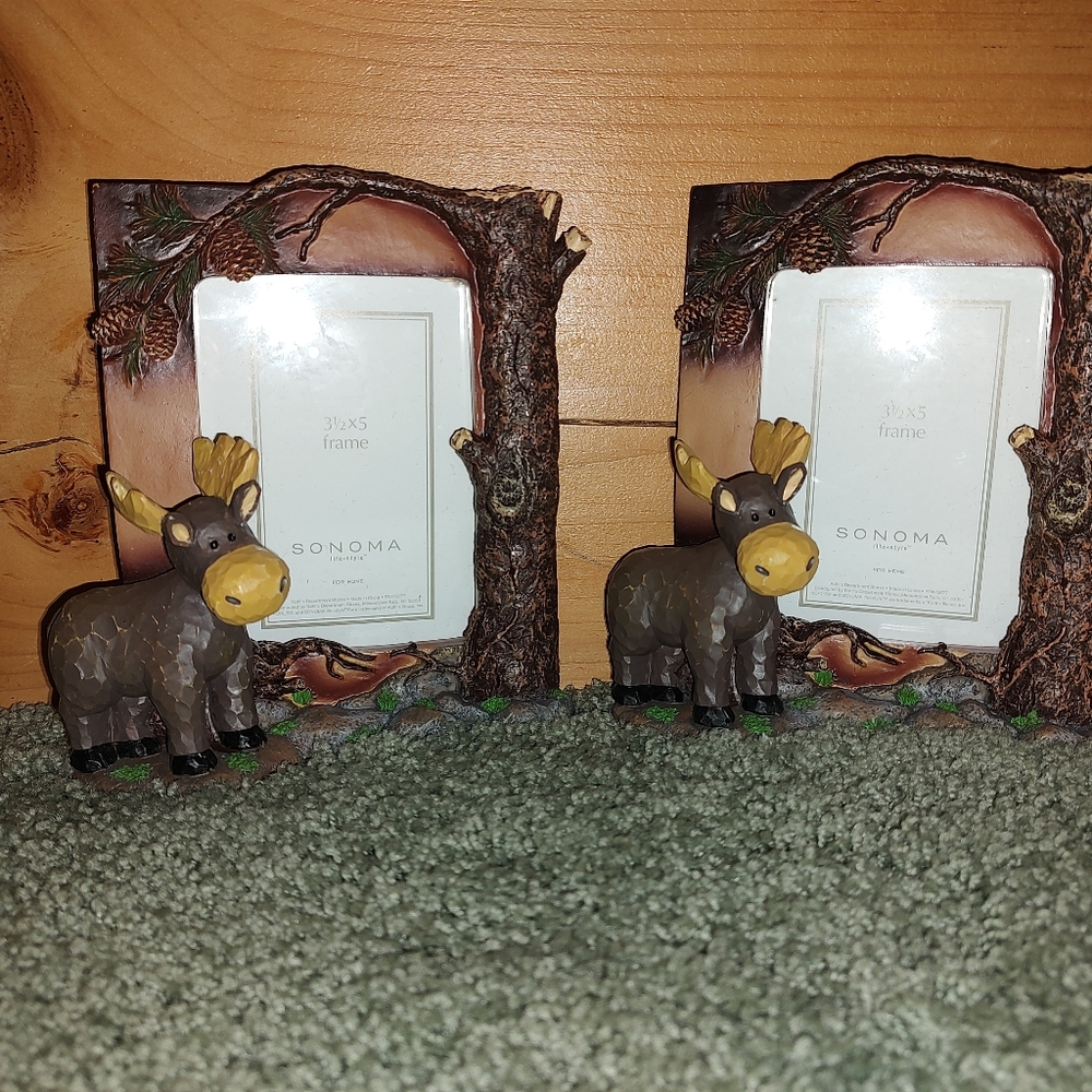 3d Moose photo frames